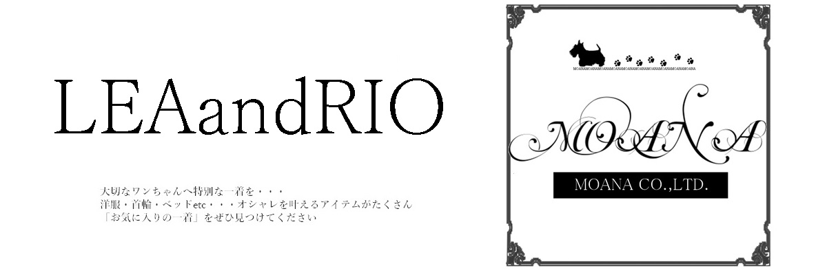 LEA and RIO���������饻�쥯�Ȥ�����Ũ�ʾ��ʤ�¿������äƤ���ޤ���