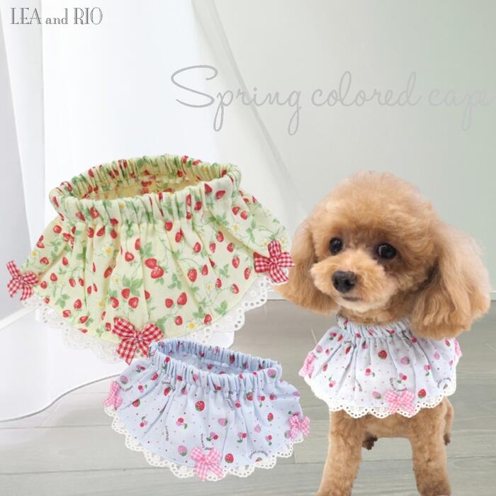 楽天市場】ケープ 1～7号 小型犬サイズ ネックアクセサリー ネック