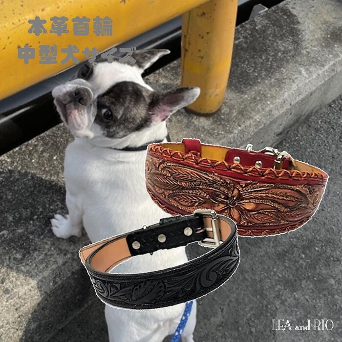 南国風デザイン首輪首輪 39～48cm 本革 中型犬 手彫り 南国風 ハイビスカス 蔦 くびわ レザー ナチュラル 彫刻 小型犬 犬 猫 ペット 服 猫服 ペット用 アイテム かっこいい シンプル 安全 お出かけ 散歩 クール フラワー プルメリア ボタニカル柄 送料無料 返品交換不可｜LEA and RIO