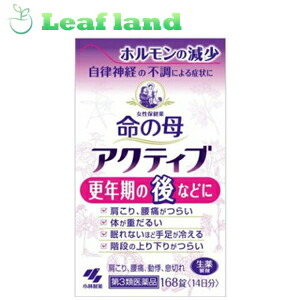 【第2類飲み薬】【12個書き割り！】【貨物輸送無料！】命の母 活動的 168錠【小林製薬】