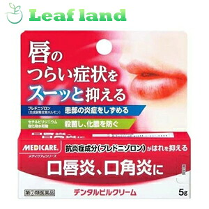 【第(2)類医薬品】【6個セット！】【メール便送料無料！】メディケア デンタルピルクリーム 5g【森下仁丹】