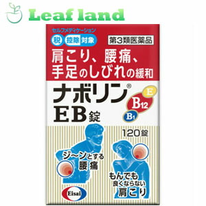 ナボリンeb 1錠 満点の