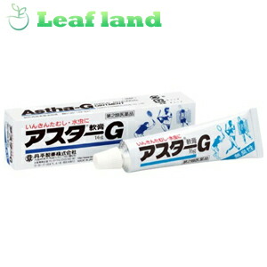 枚数限定 クーポン発行中 第2類医薬品 アスターｇ軟膏 送料無料 6個セット