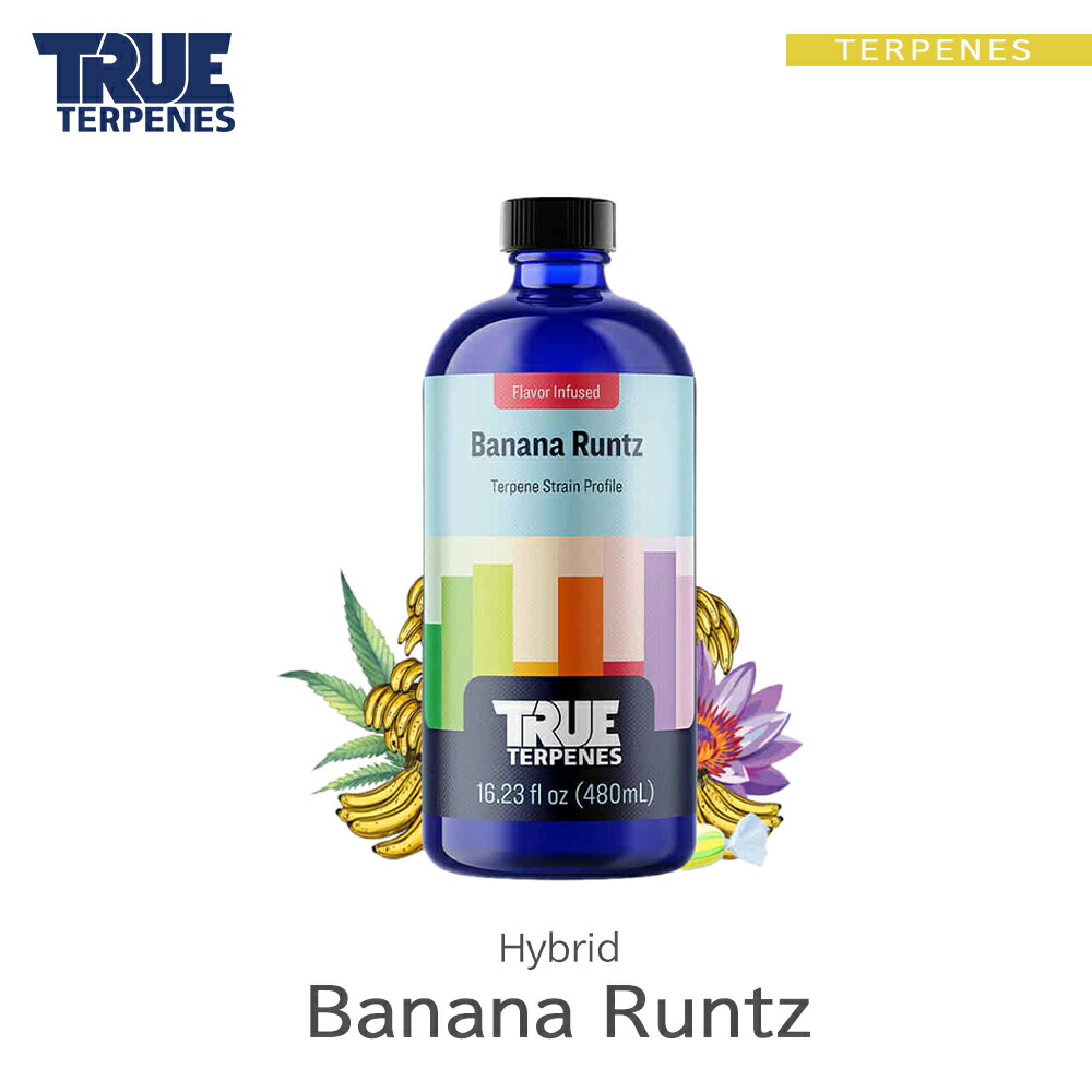 ttf-bnnruntz-01.jpg