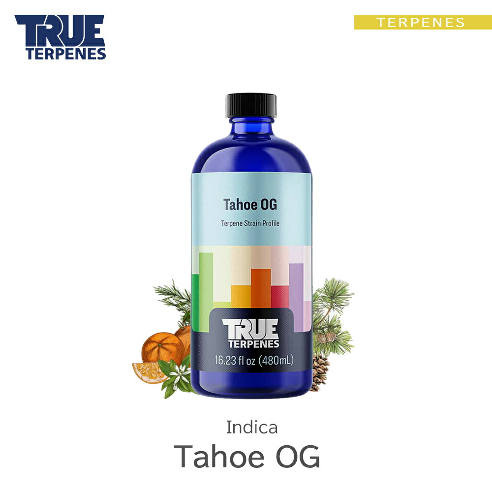 ttc-tahoeog-01.jpg