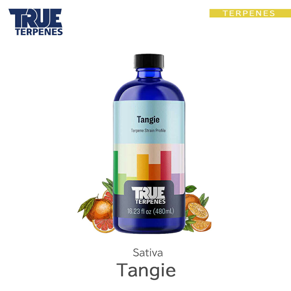 楽天市場】＼楽天スーパーSALE ポイント20倍／ テルペン アメリカ TRUE