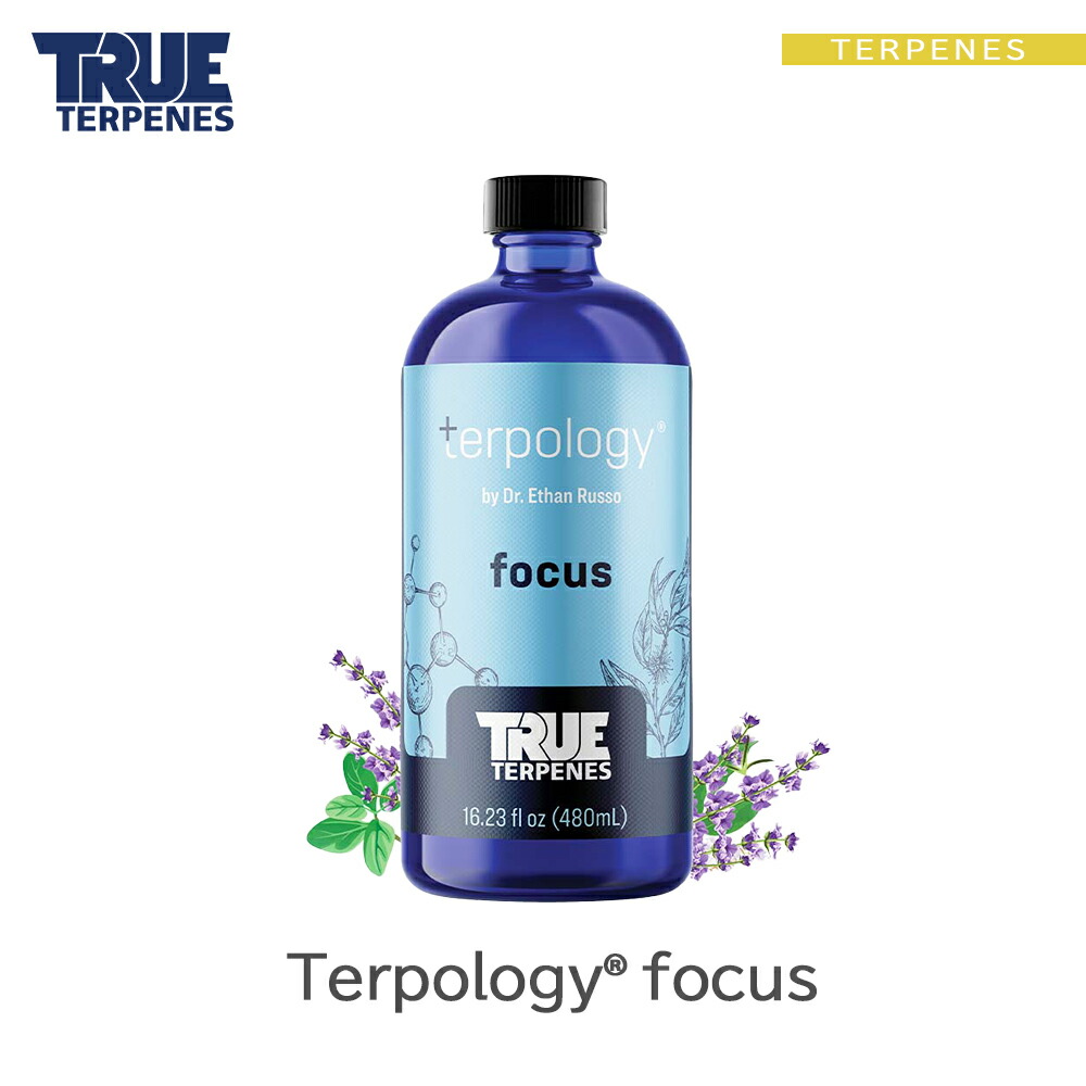 TRUE テルペン 510 CBD CBN CBG 10ml グレープエイプ TRUE テルペン 510 CBD CBN CBG 10ml 9パウンドハマー