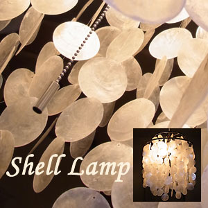 楽天市場】ペンダントライト 2灯ソケット SHELL LAMP：シェルランプ