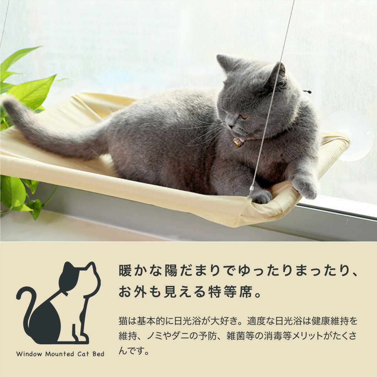 【楽天市場】猫 ベッド ハンモック 窓 猫用ベッド おしゃれ 雑貨 ペット用品 オールシーズン 通年 かわいい：雑貨通販 Happy Space