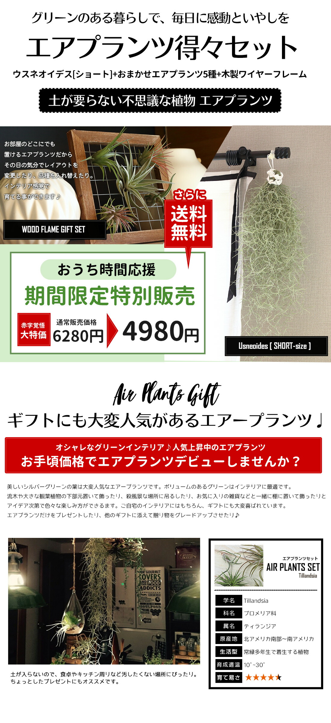 ショップ 期間限定販売 エアプランツ セット 得々セット ウスネオイデス ショート 木製ワイヤーフレーム エアプランツ5種 エアープランツ 観葉植物 ティランジア チランジア 壁掛け 吊り下げ インテリア 誕生日 ギフト Ma Sagefemme Saint Mande Fr ショップ 期間限定販売 エアプランツ セット 得々セット ウスネオイデス ショート 木製ワイヤーフレーム エアプランツ5種 エアープランツ 観葉植物 ティランジア チランジア 壁掛け 吊り下げ インテリア 誕生日 ギフト Ma Sagefemme Saint Mande Fr