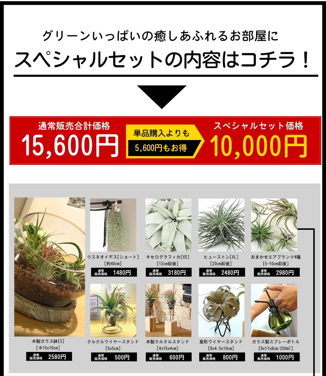 最先端 名入れ ギフト プレゼント 植物 スペシャルグリーンギフトセット B お得 149円 円 エアープランツ エアプランツ 観葉植物 母の日 母 古希 喜寿 米寿 長寿 メッセージカード ギフト 史上最も激安 Estelarcr Com