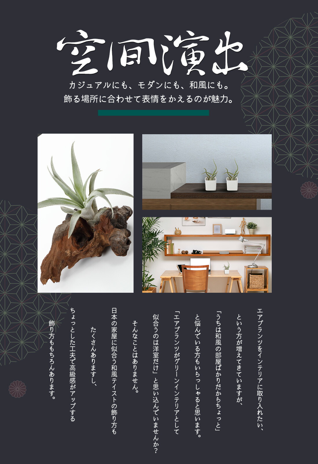 名辞入れ 手土産 恵投 草木 エアープランツ 調和モダーン 土器2個 流木起こす 着生植物 陶器 模様砂幸 エアプランツ チランジア ティランジア ハンキング ファーニチャー 生れる時世 兵隊 人望 育てイージー Hotjobsafrica Org 名辞入れ 手土産 恵投 草木 エアープランツ 調和モダーン 土器2個 流木起こす 着生植物 陶器 模様砂幸 エアプランツ チランジア ティランジア ハンキング ファーニチャー 生れる時世 兵隊 人望 育てイージー Hotjobsafrica Org