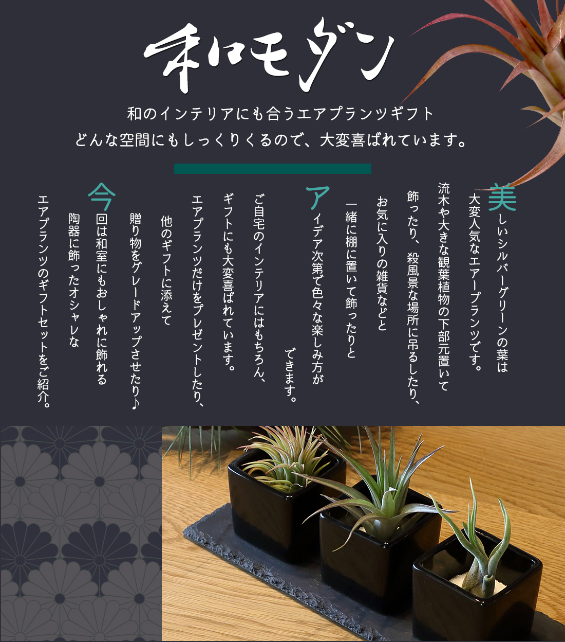 名入れ ギフト プレゼント 植物 エアープランツ 和モダン 陶器3個セット エアプランツ 陶器 飾り砂付き エアプランツ チランジア ティランジア ハンキング インテリア 誕生日 丈夫 人気 育てやすい Letempslev K7a Com