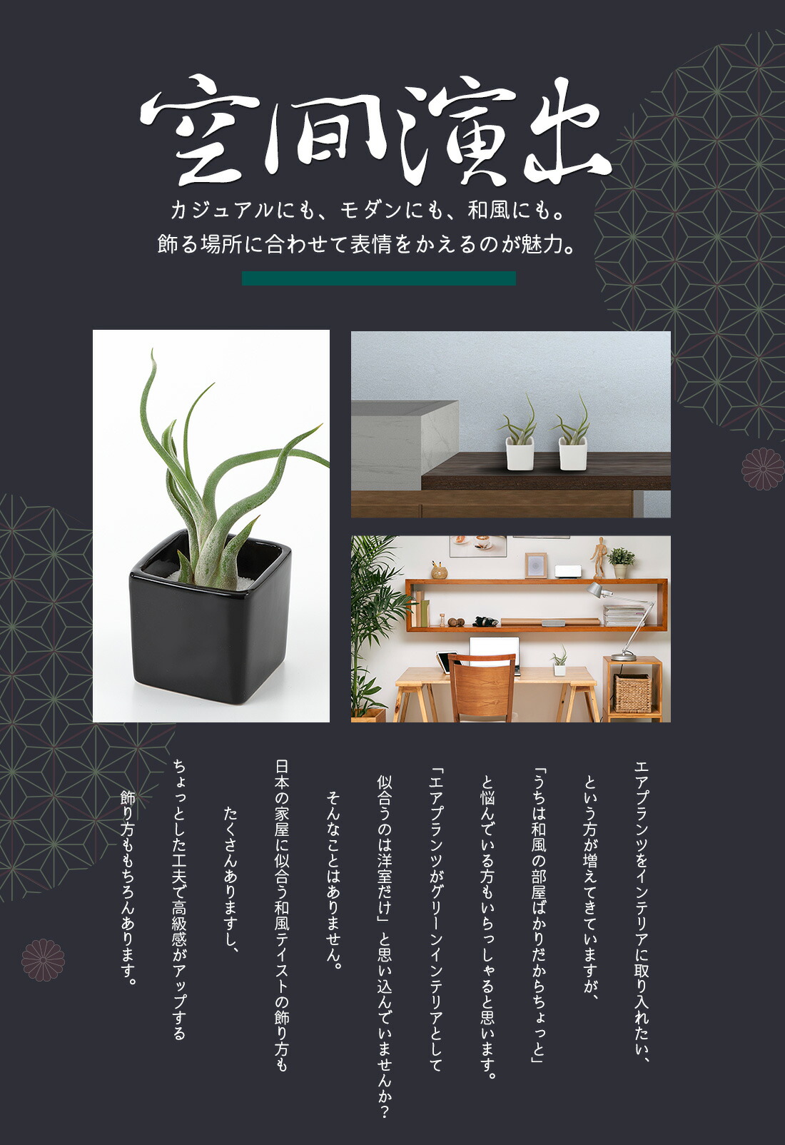 名入れ ギフト プレゼント 植物 エアープランツ 和モダン 陶器3個セット エアプランツ 陶器 飾り砂付き エアプランツ チランジア ティランジア ハンキング インテリア 誕生日 丈夫 人気 育てやすい Letempslev K7a Com