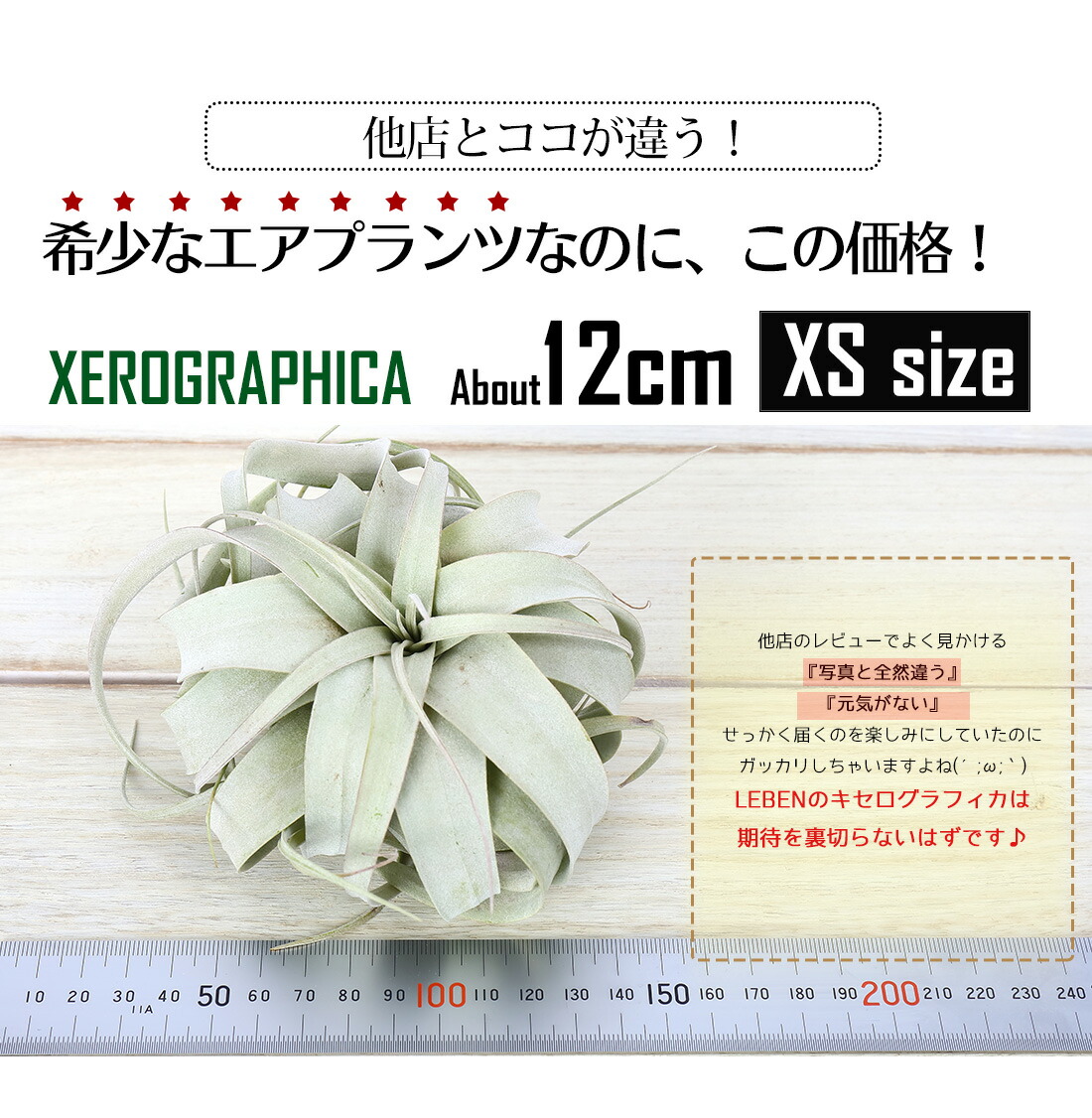 アスレタ 息 ピステ ストレッチトレーニングジャケット j