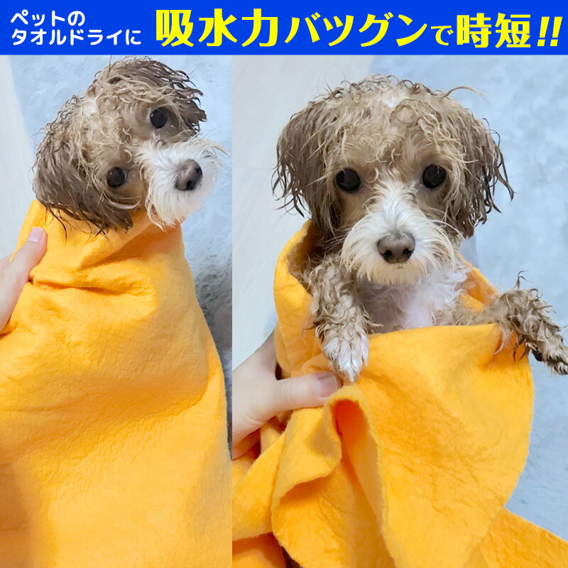 3年保証 吸水クロス 4枚セット 送料無料 すいすいクロス 強力吸水 クロス ペットのお風呂上りに ぐんぐん吸水 Www Hffotoblog Com