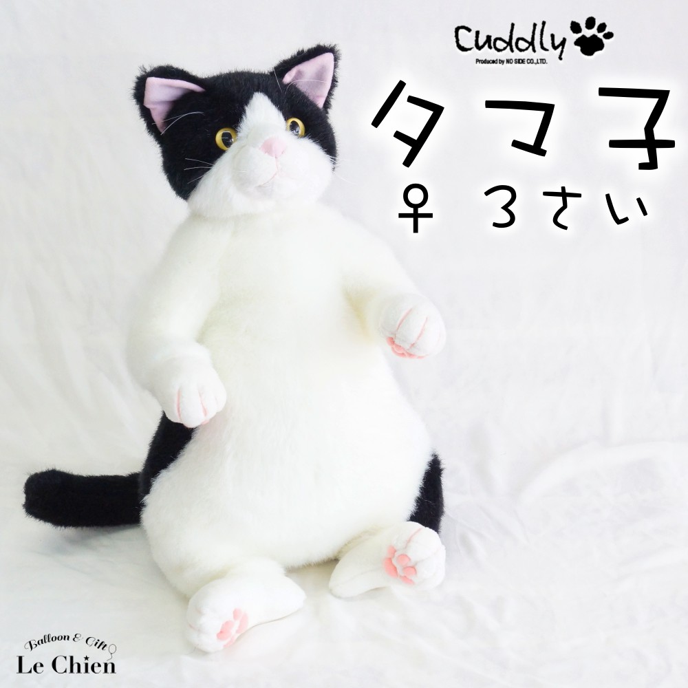 ぬいぐるみ 猫 わさ美wasabi Cuddly カドリー こだわりの日本製ぬいぐるみ 猫のぬいぐるみ 猫グッズ 子猫 猫雑貨 誕生日 プレゼント 卒業式 プレゼント ギフト お返し ルシアン Deerfieldtwpportage Com