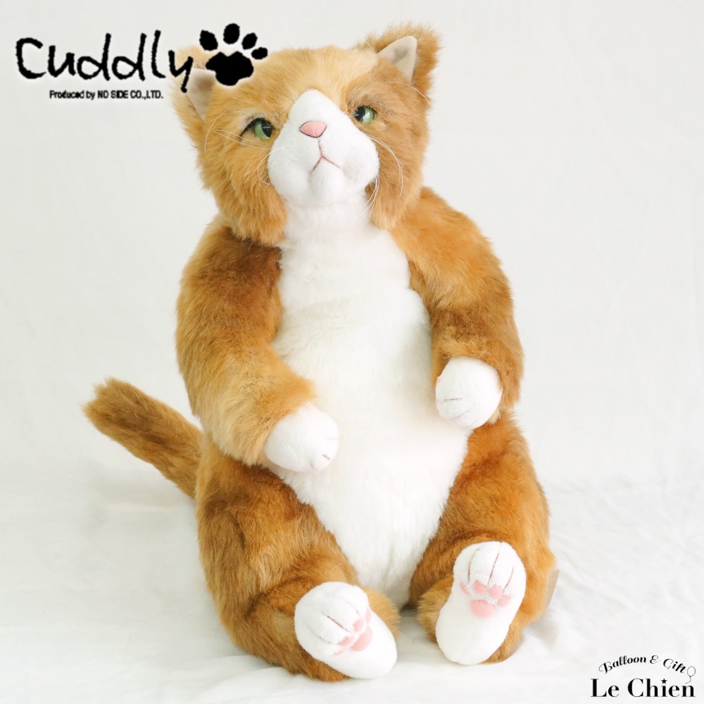 楽天市場】ぬいぐるみ 猫 リアル 大きい ねこのぬいぐるみ 日本製 Cuddly カドリー わさ美 Wasabi ねこ ネコ 猫グッズ プレゼント  誕生日 大人 お悔やみ ペット ルシアン : バルーン＆アニマル雑貨 Le Chien