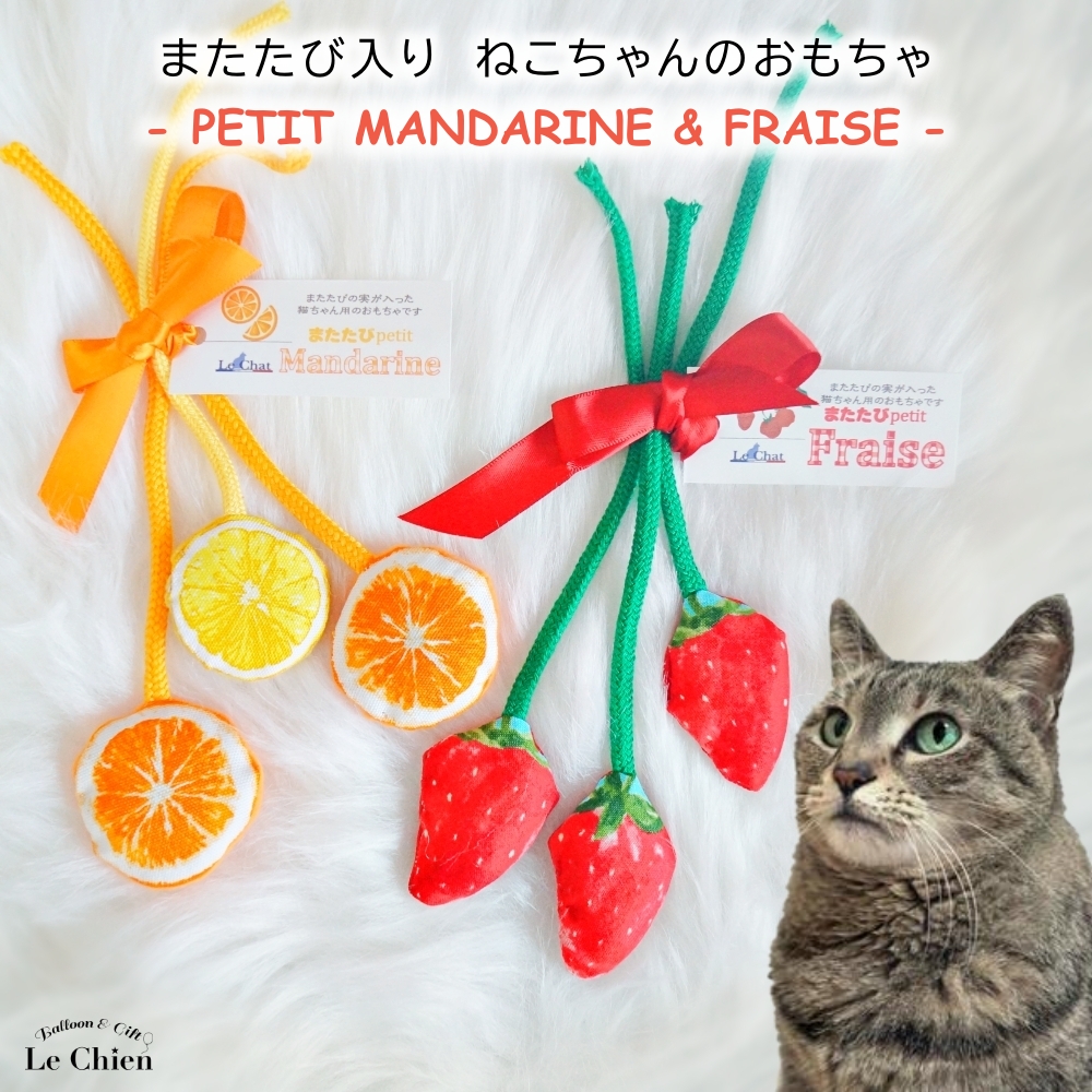 猫のまたたびページ maxresdefault.jpg