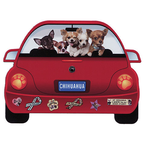 犬（ミニチュアピンシャー BK ）マグネット ステッカー 防水 車