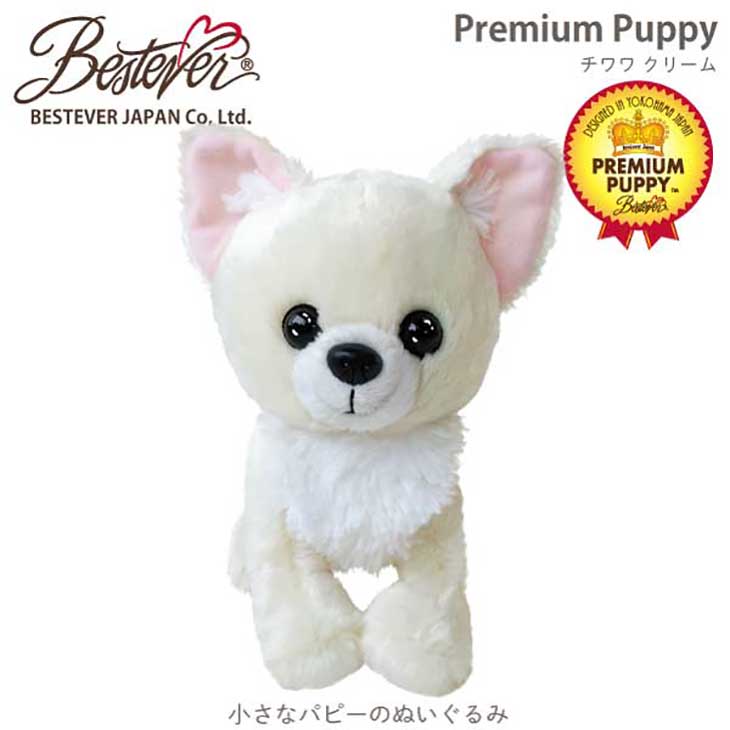 楽天市場】ぬいぐるみ 犬 白 チワワ クリーム アイボリー プチお