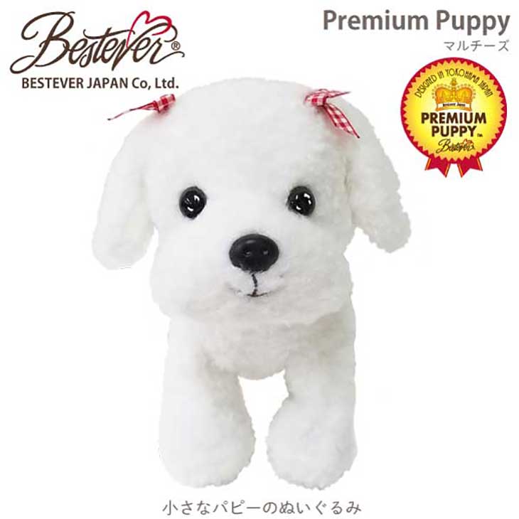 楽天市場】ぬいぐるみ 犬 白 マルチーズ リアル いぬ イヌ