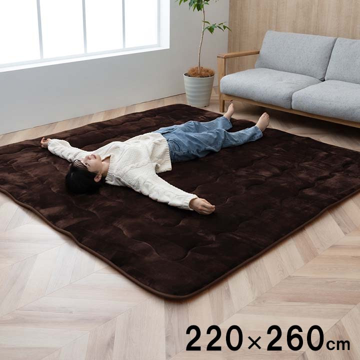 ラグ こたつ敷き布団 長方形 幅広ラグ ブラウン 約220&times;260cm[1161710066213]｜ミノクニ商店