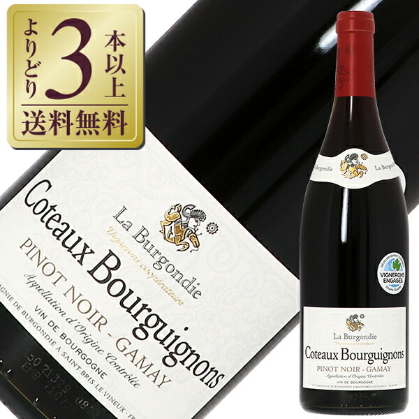 バラ売り可能・ ブルゴーニュ フランス ワイン 81．ブルゴーニュ地方 ピノ・ノワールを愉しむ生産者別