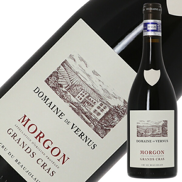 モルゴン 2021 & ブルゴーニュ・ブラン 2019 金賞赤白　セット 2019 モルゴン ジャン フォワヤール 赤ワイン 自然派 ナチュール 750ml