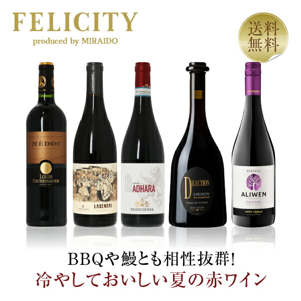 400円OFFクーポン対象 【1】季節と楽しむ！ 冷やして美味しい夏の赤ワイン5本セット 第1弾 750ml&times;5 飲み比べ 赤 ワイン セット 【送料無料】【包装不可】｜酒類の総合専門店　フェリシティー