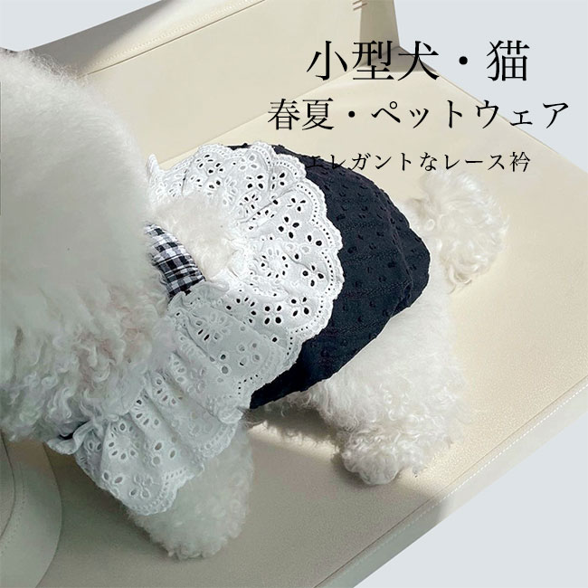 新製品情報も満載 りーたん○犬服○ハンドメイド 胴56 NO.528 犬用品