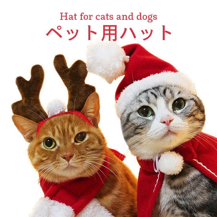国内最安値 かわいいクリスマスパグサンタハット犬オーナーギフト トレーナー ラッピング無料 Www Centrodeladultomayor Com Uy