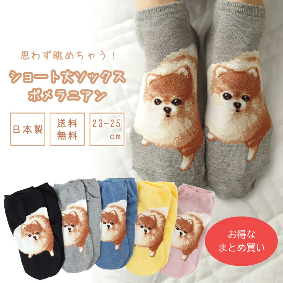 ⭐︎専用⭐︎ ポメラニアンの足様 matome1.jpg