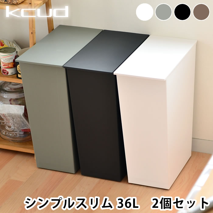 【4月15日はポイント最大10倍祭！】【2個セット】 クード ゴミ箱 kcud シンプル スリム SIMPLE SLIM おしゃれ ふた付き 分別 スリム 縦型 キッチン 岩谷マテリアル アッシュコンセプト 北欧 45リットル ゴミ袋対応 キャスター