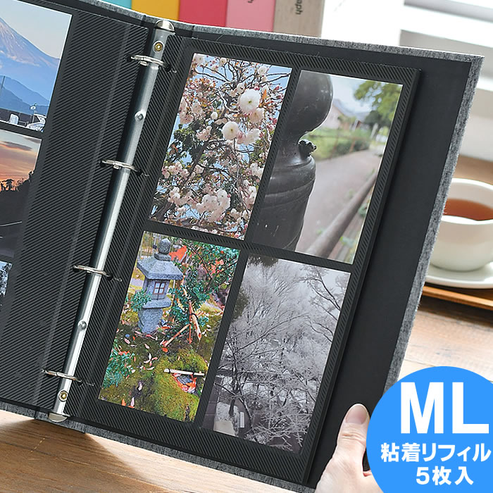 DELFONICS デルフォニクス フォトアルバム L 2冊 粘着台紙30シート DELFONICS デルフォニクス フォトアルバム L 2冊 粘着台紙30シート