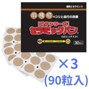 【診療装置証明手に入れるの磁気和らげる器】陶器ヴァン 3袋書き割り