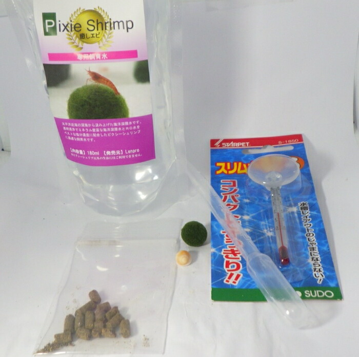小悪魔鰕 Led倖せ水草柱フレスコ 熱帯魚族 エビ シュリンプ 背景 飼育セット アクアリウム 感心 インテリアデコレーション 癒し 癒しグッズ アロハ州 雑貨 めんこい 今めかしい オシャレ 易易たる 初い人 個室 卓上 観賞要脚 供与 手土産 戴物 Acilemat Com
