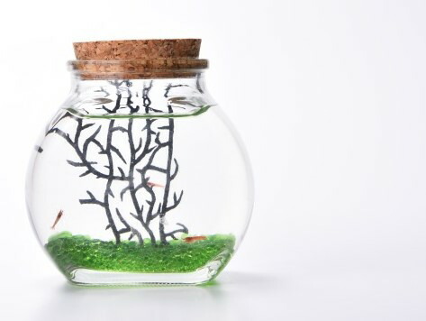 楽天市場】☆イミテーションまりも☆ かわいい オシャレ 送料250円可能