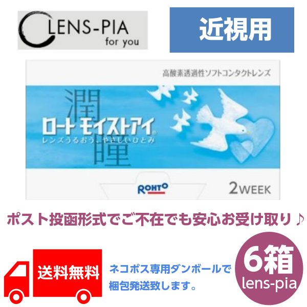 ROHTO ロートモイストアイ コンタクトレンズ 2week 通信販売 6箱9ヶ月容器に並べる貨物輸送無料