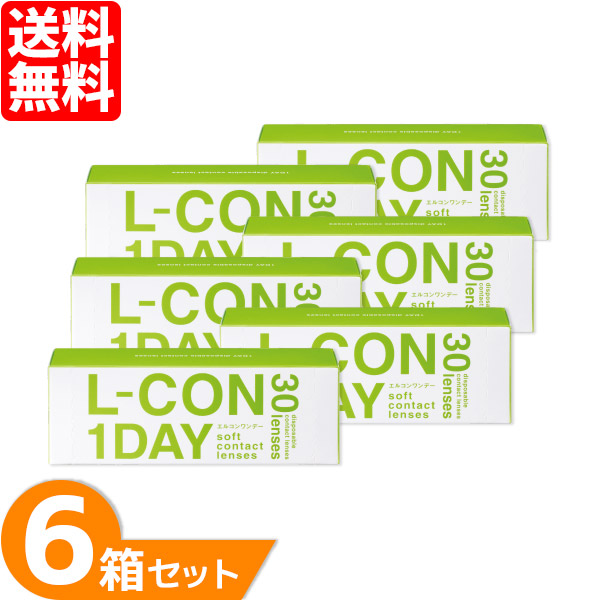 エルコンワンデー 6箱 (1箱30枚) シンシア ワンデー コンタクトレンズ 1day 1日使い捨て ソフト コンタクト
