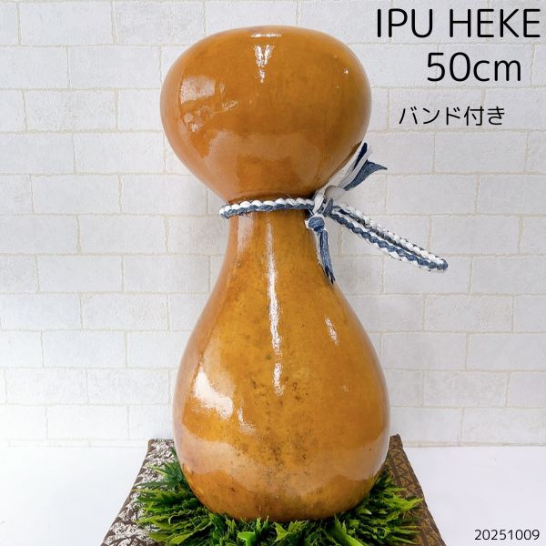 楽天市場】イプ Lサイズ フラ フラダンス 楽器 ハワイ