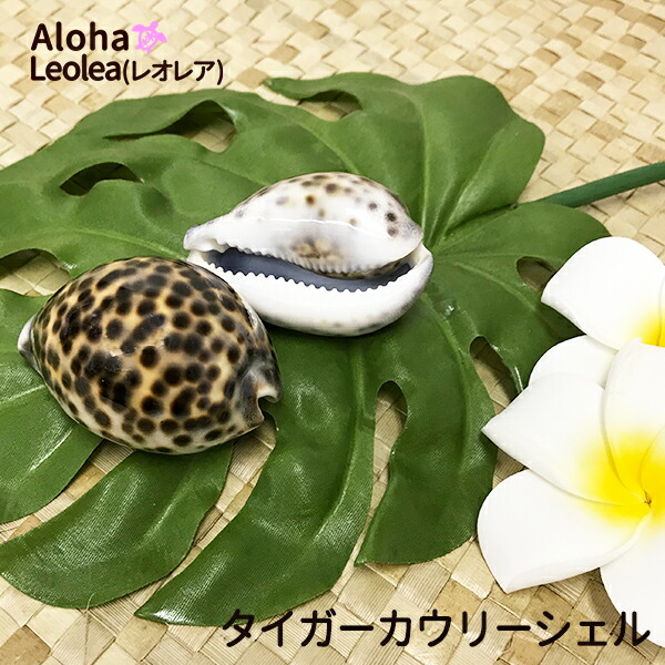 楽天市場】イイ ラフィア タヒチアンダンス フラ フラダンス