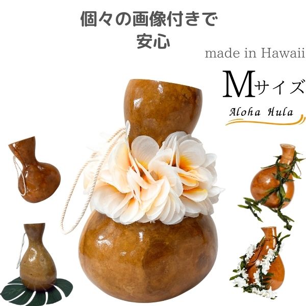 【楽天市場】イプ Mサイズ フラ フラダンス 楽器 ハワイ ハワイアン 