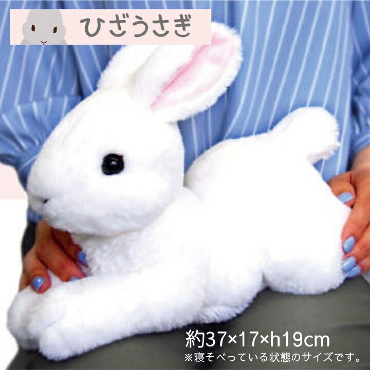 楽天市場】【ひざシリーズ】【ギフトラッピング承り中！】 こころ