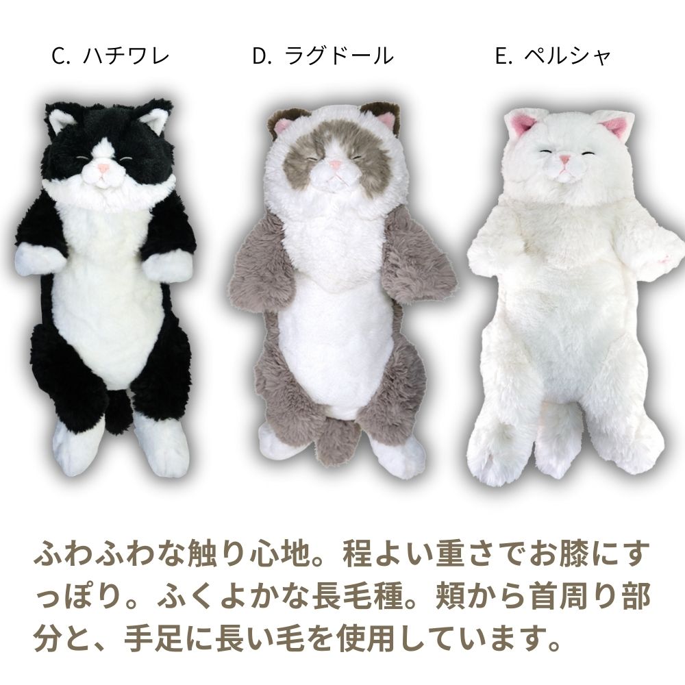 ひざシリーズ】【ギフトラッピング承り中！】こころほっこり ひざねこ