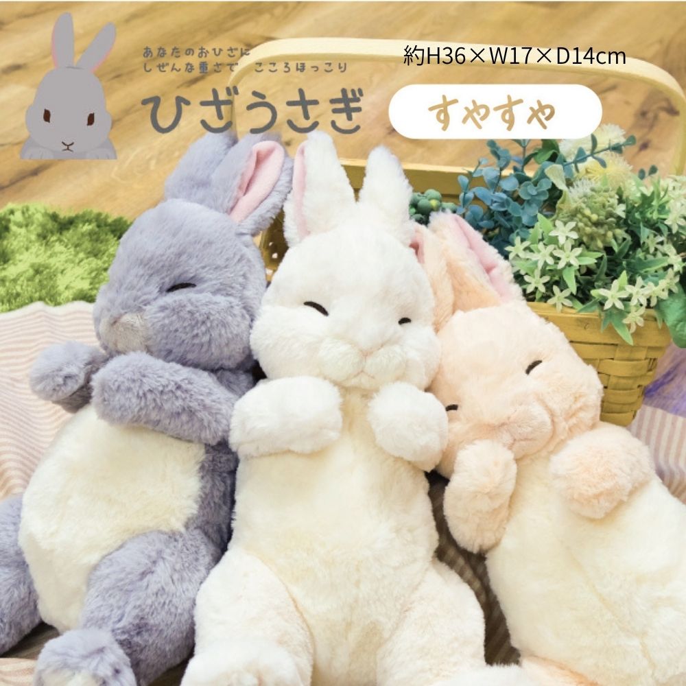 楽天市場】【ひざシリーズ】【ギフトラッピング承り中！】 こころ