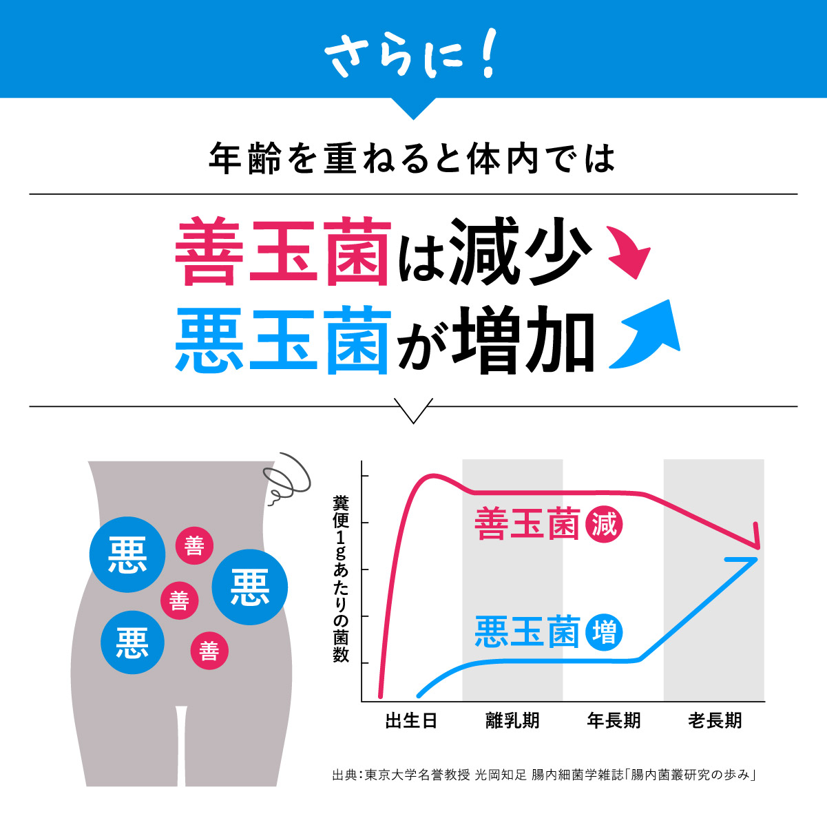 ビオナス乳酸菌サプリ乳酸菌サプリメント酪酸菌ビフィズス菌腸活サプリ健康美容タブレット善玉菌サプリメントダイエット