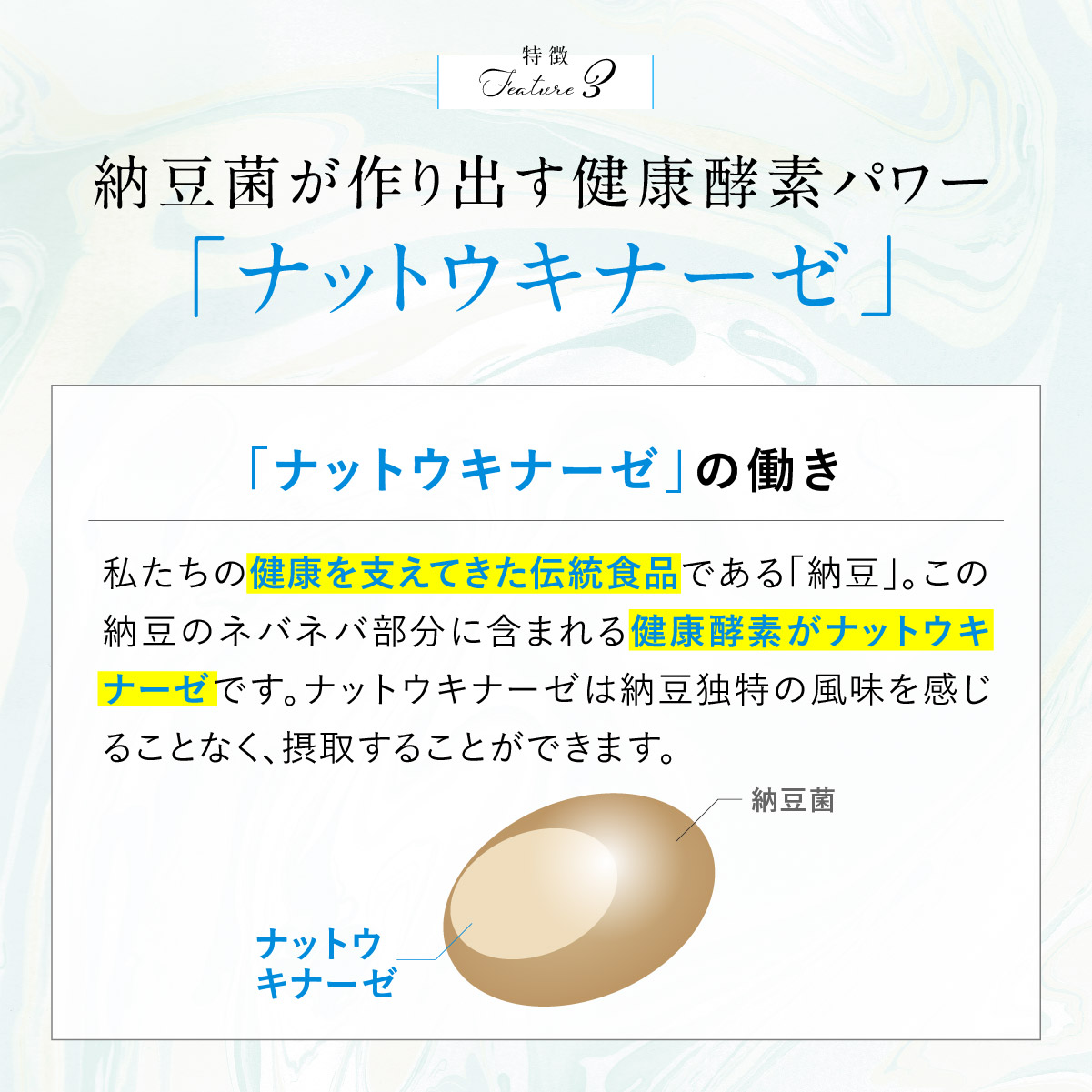 ビオナス乳酸菌サプリ乳酸菌サプリメント酪酸菌ビフィズス菌腸活サプリ健康美容タブレット善玉菌サプリメントダイエット