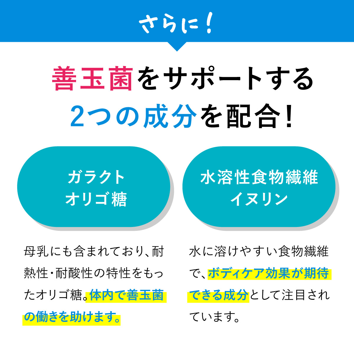 《楽天1位》ビオナス3袋セット酪酸菌乳酸菌サプリビフィズス菌ナットウキナーゼイヌリンオリゴ糖善玉菌腸活腸内短鎖脂肪酸フローラダイエットサプリ乳酸菌サプリ女性乳酸菌サプリメントネコポス可