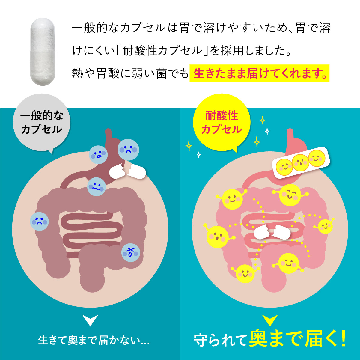 《楽天1位》ビオナス3袋セット酪酸菌乳酸菌サプリビフィズス菌ナットウキナーゼイヌリンオリゴ糖善玉菌腸活腸内短鎖脂肪酸フローラダイエットサプリ乳酸菌サプリ女性乳酸菌サプリメントネコポス可